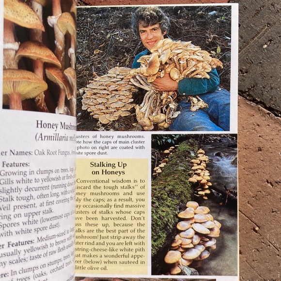 All That the Rain Promises and More Edible Mushrooms Mushie Pocket Guide Plant - Picture 10 of 13